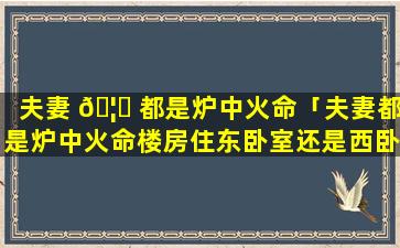 夫妻 🦁 都是炉中火命「夫妻都是炉中火命楼房住东卧室还是西卧室」